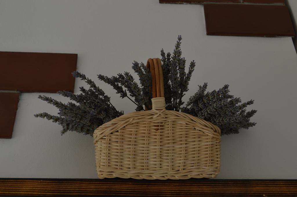 Holiday Home Jelovcerjeva Idrija pri Baci ภายนอก รูปภาพ